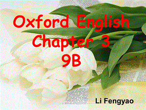 上海版牛津初中英语课件9B Chapter 3.ppt