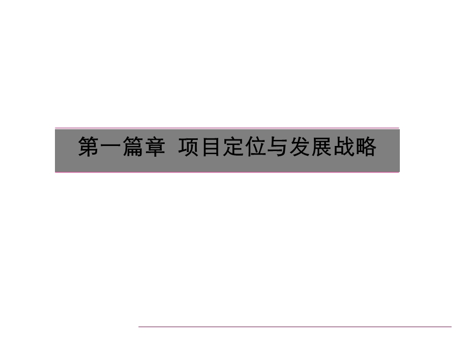 2010东莞茶山新天地商业全程服务报告98p(1).ppt_第3页