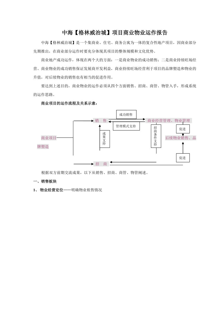 中海某项目商业物业运作报告.docx_第1页