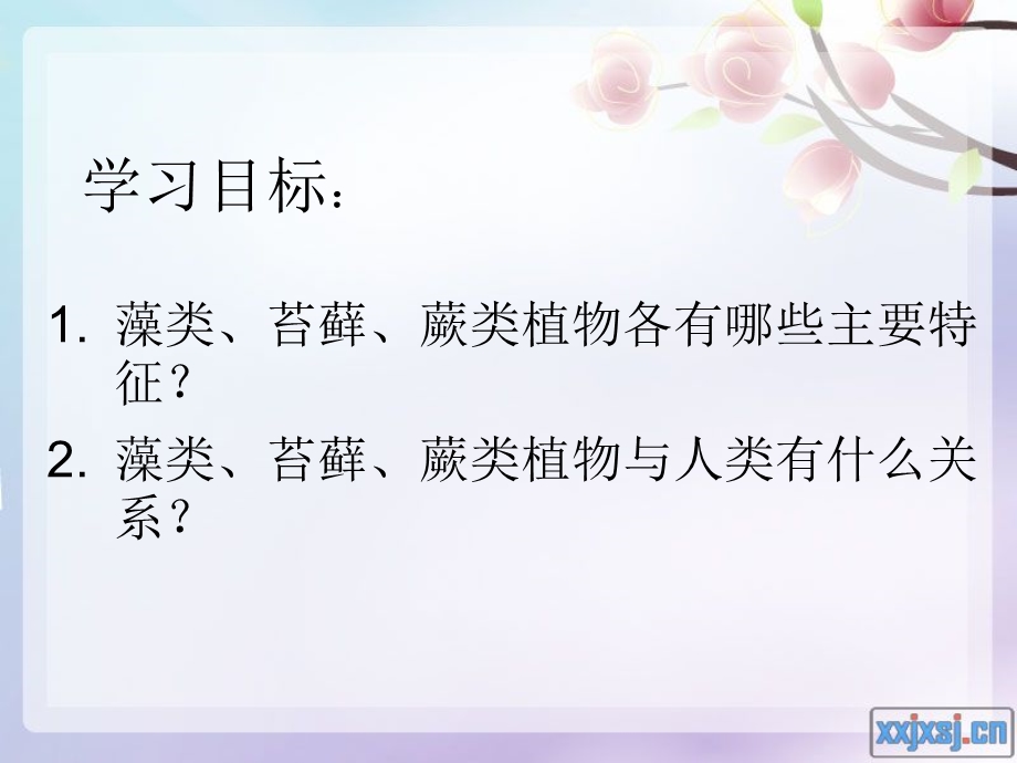 藻类、苔藓和蕨类植物 精品教育.ppt_第2页