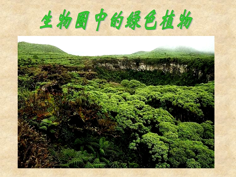 第一节藻类苔藓和蕨类植物课件.ppt_第1页