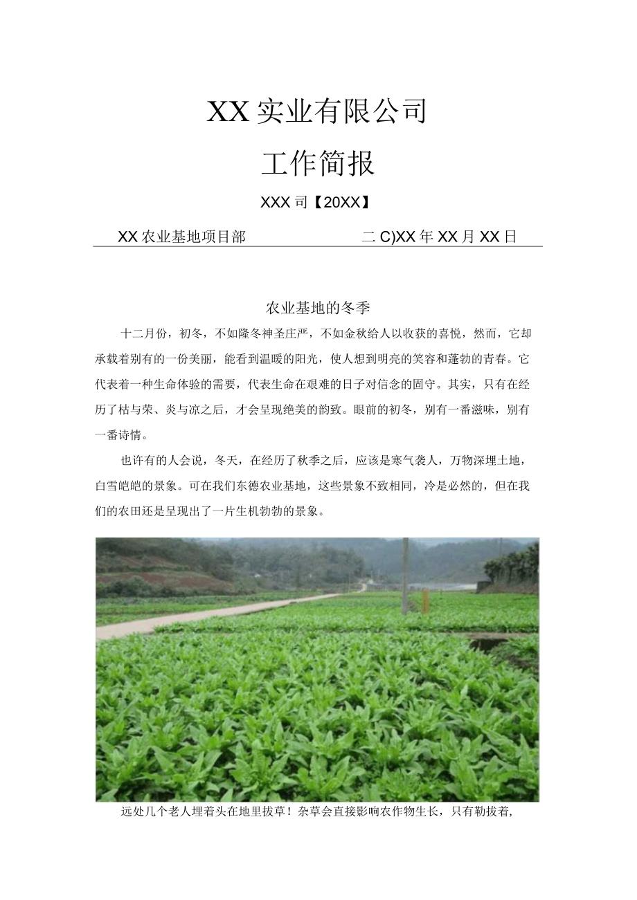 (XX公司企业)农业基地冬季工作简报.docx_第1页