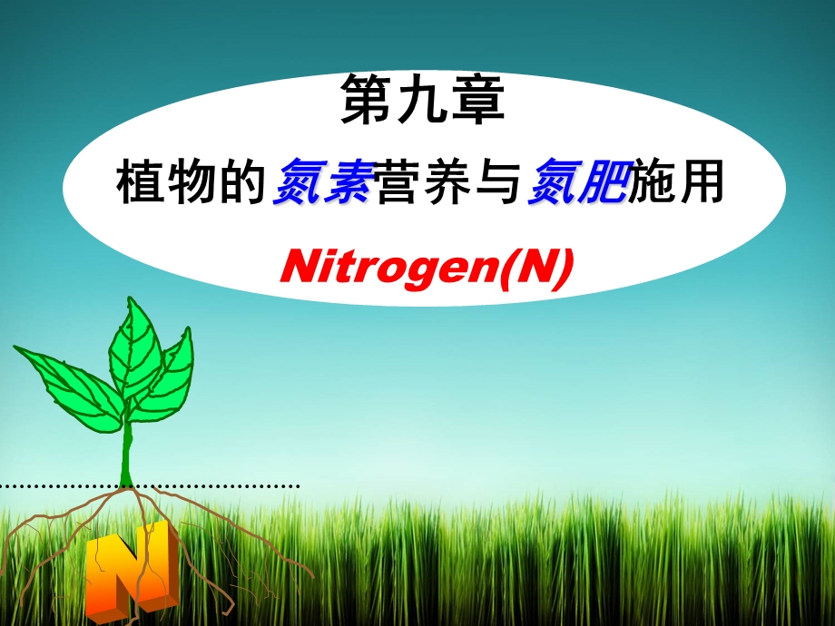 第9章植物的氮素营养与氮肥施.ppt_第2页