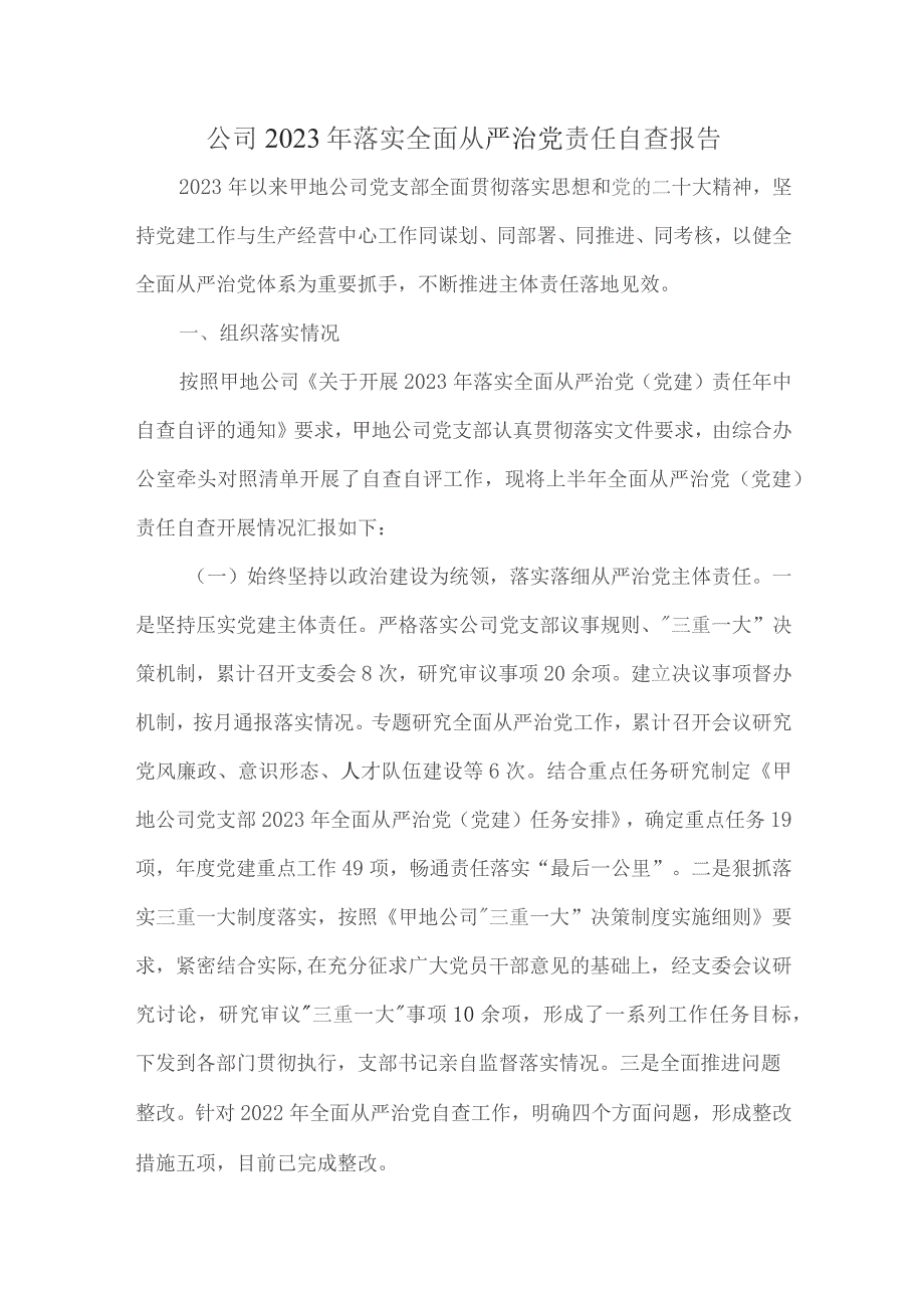 公司2023年落实全面从严治党责任自查报告.docx_第1页