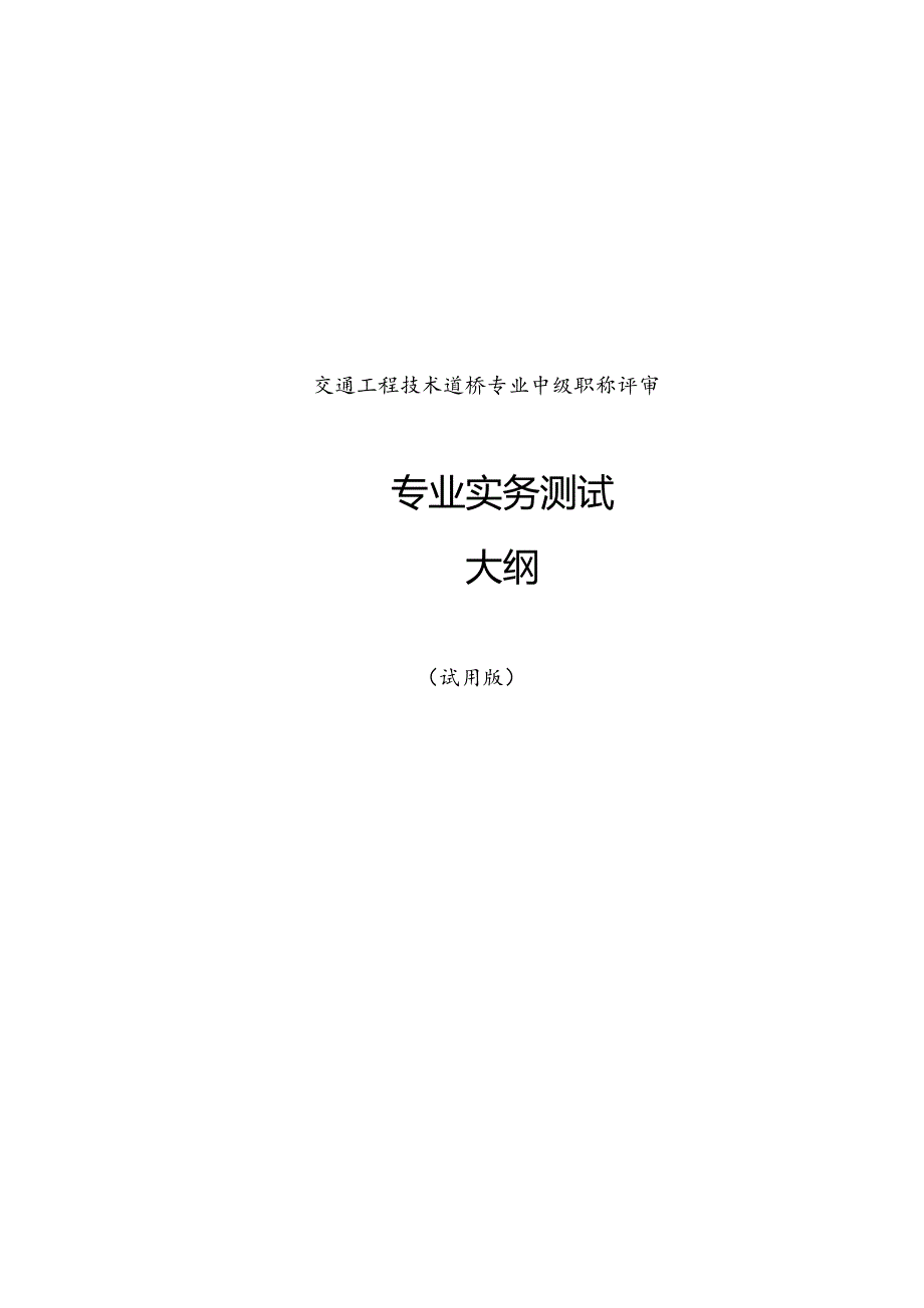 中级职称专业实务测试大纲(试行).docx_第1页
