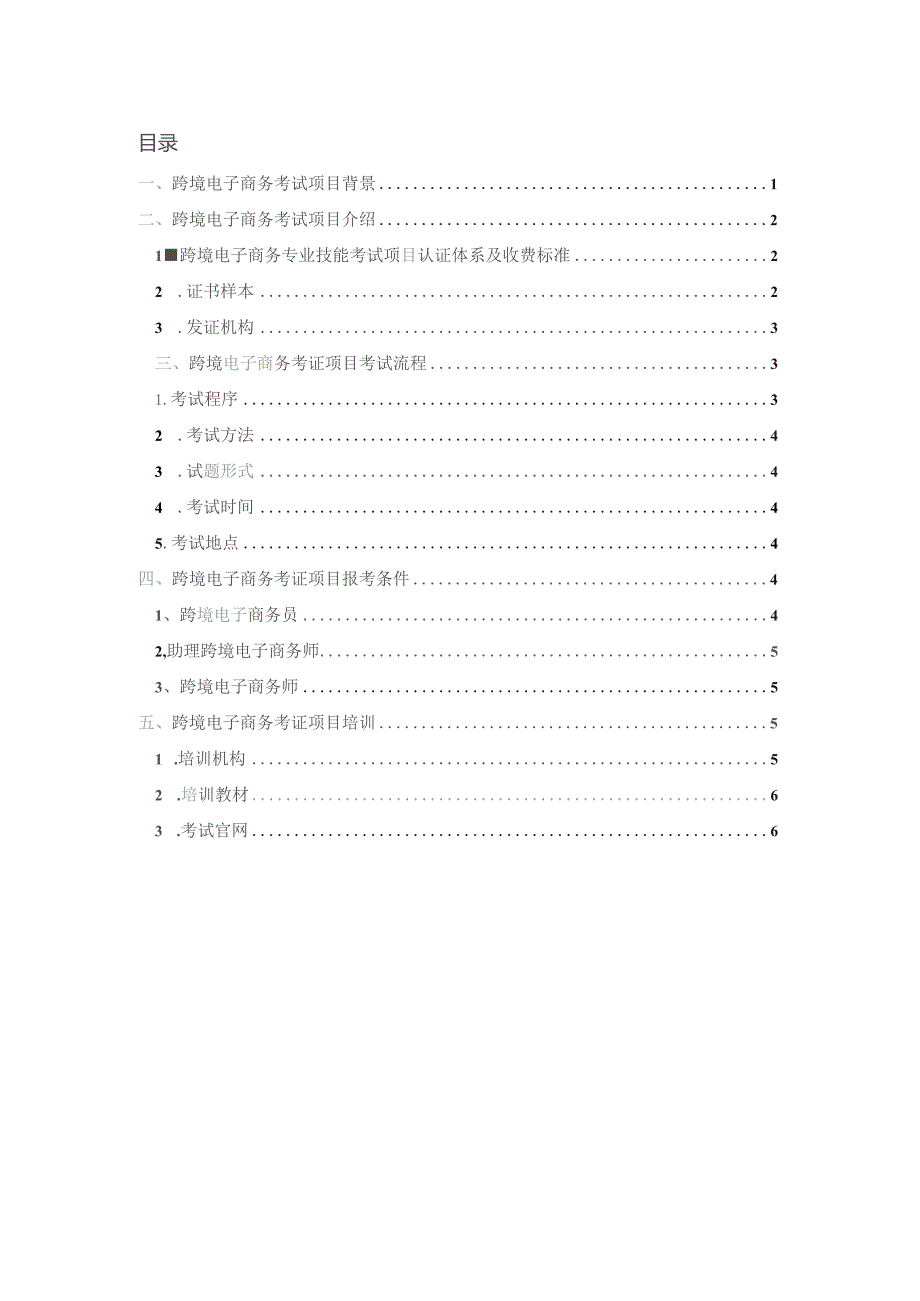 跨境电子商务专业技能考证项目方案.docx_第2页