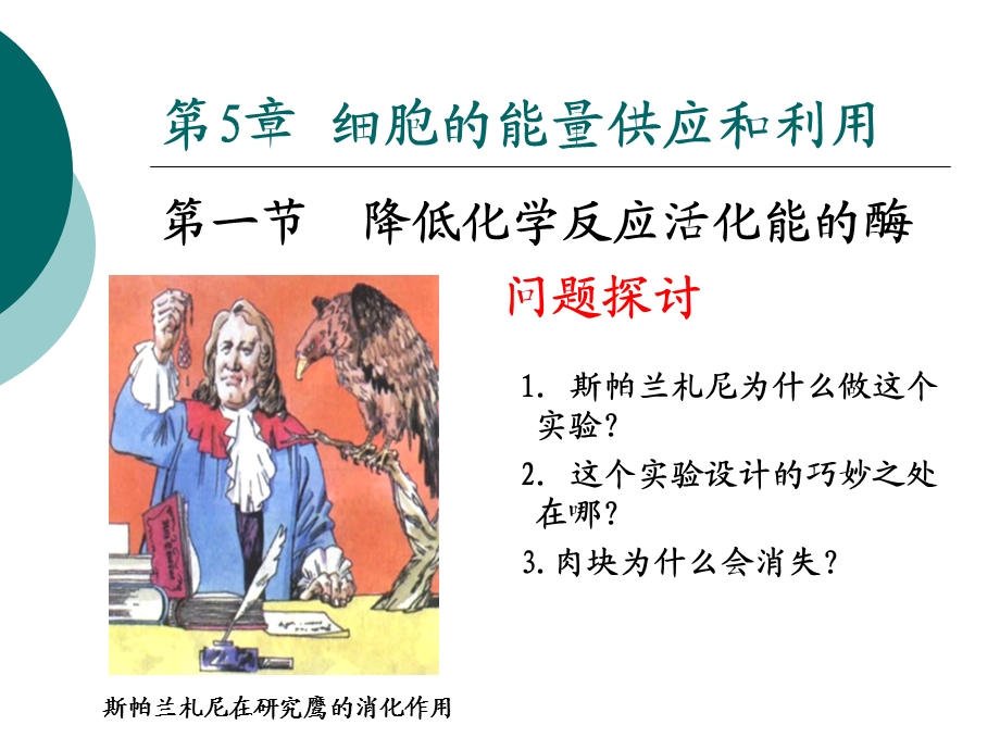 降低化学反应活化能的酶 上课.ppt.ppt_第1页