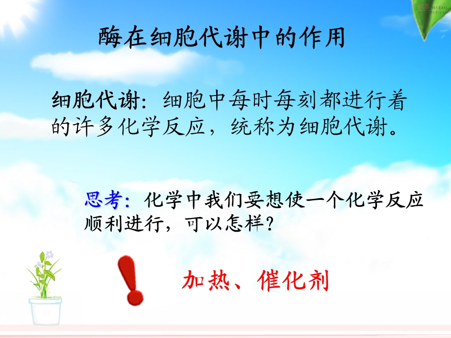 降低化学反应活化能的酶 上课.ppt.ppt_第2页