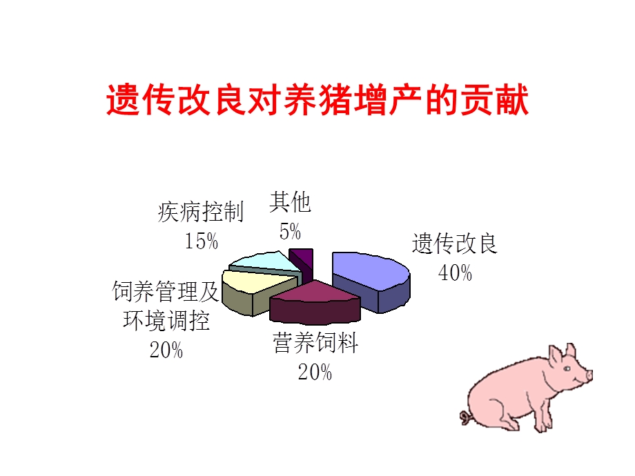 养猪基本知识.ppt_第3页