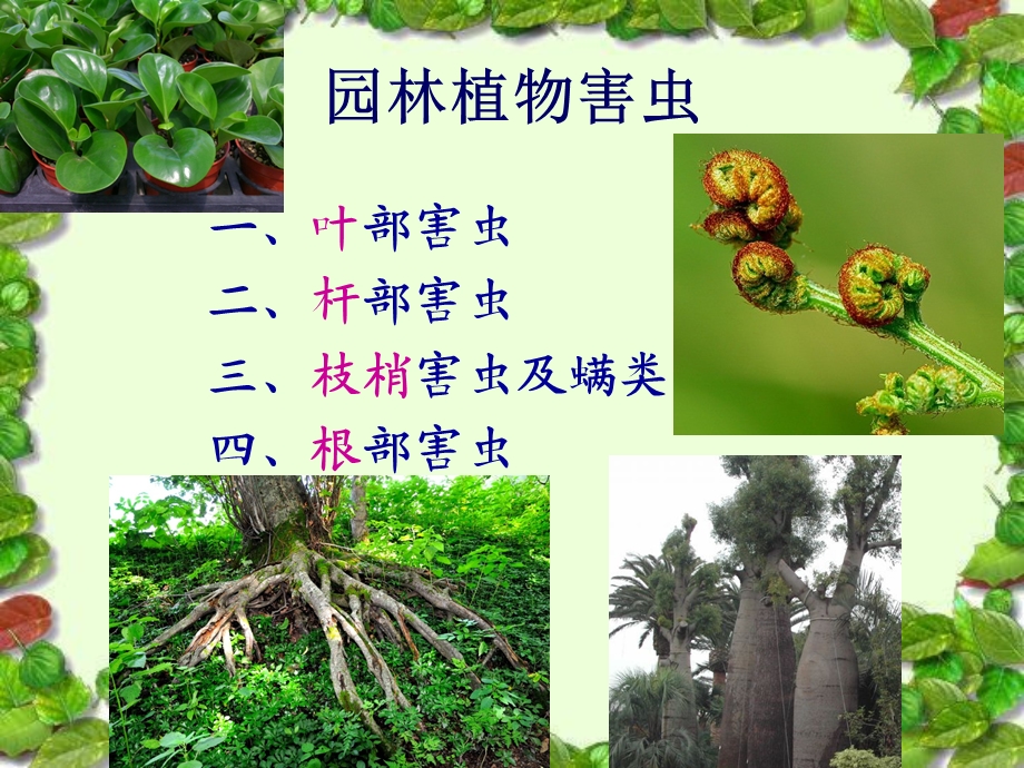 8.园林植物病虫害.ppt_第2页