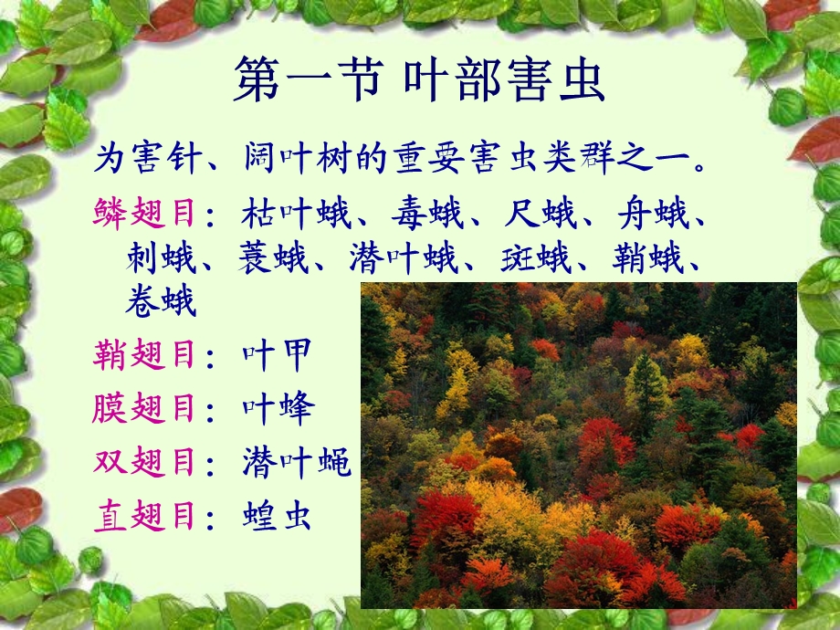 8.园林植物病虫害.ppt_第3页