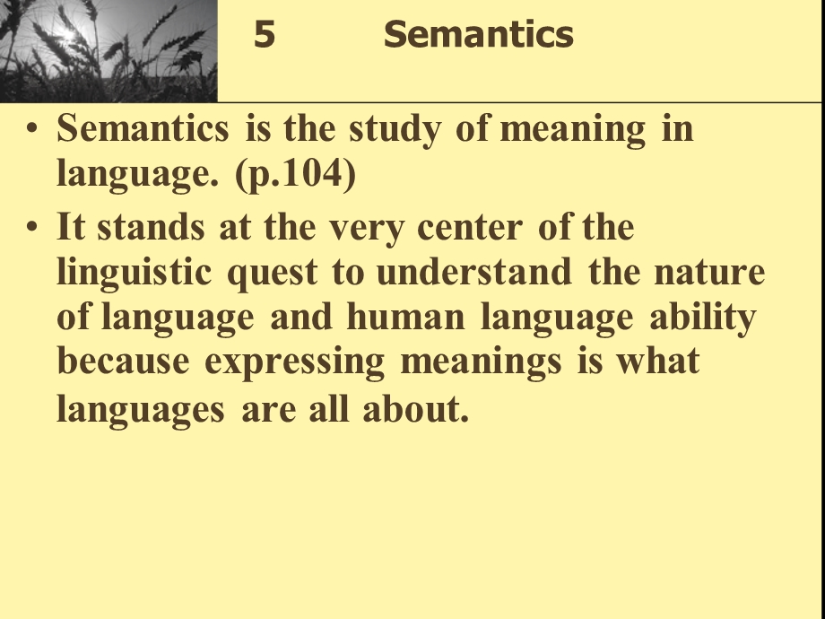 chapter 5Semantics英语专业语言学PPT.ppt_第1页