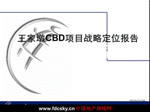 2005武汉王家墩CBD项目战略定位报告.ppt