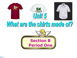 人教版九级英语课件Unit 5 What are the shirts made of？SectionB.ppt