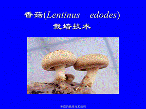 香菇的栽培技术培训.ppt