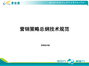 碧桂园策略总纲模板.ppt