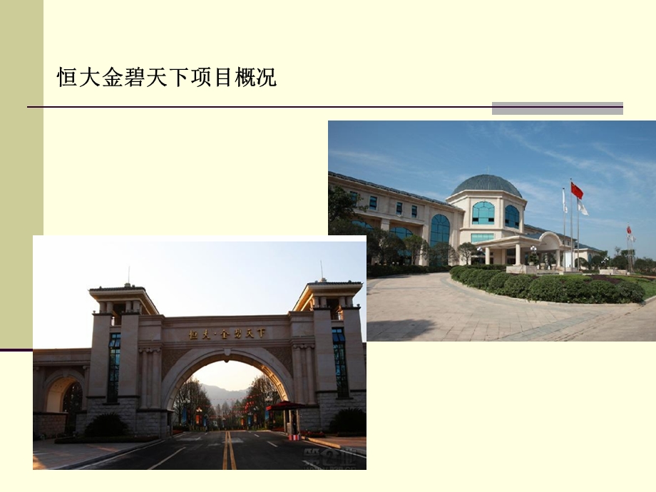 71_5113292_重庆代表别墅概况.ppt_第2页