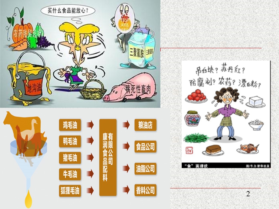 我国食品安全现状.ppt_第2页