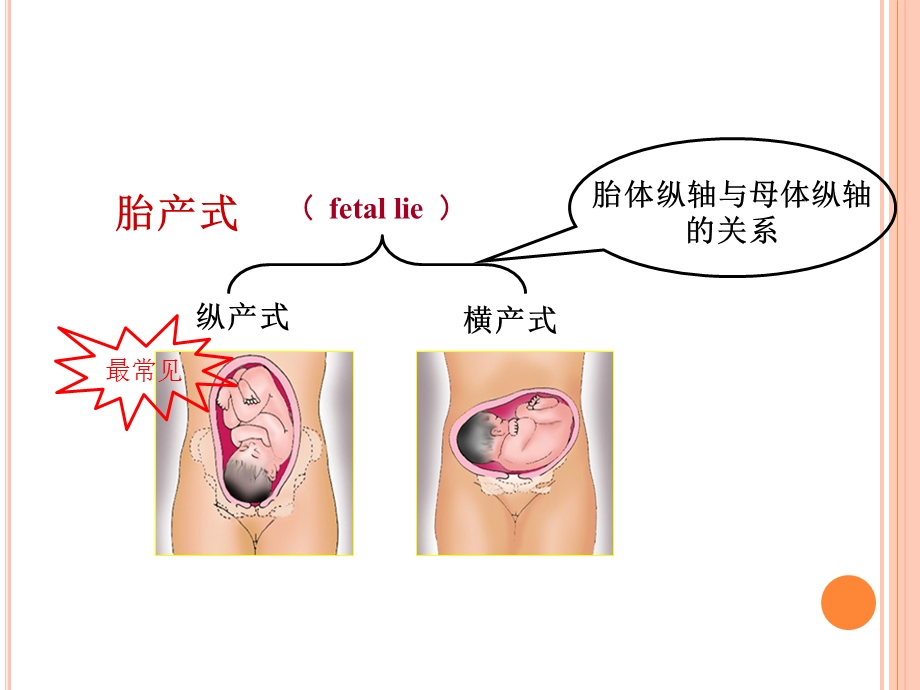 医学产科四部触诊培训ppt课件.ppt_第3页