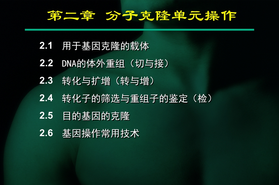 基因工程：第二章 分子克隆课件.ppt_第3页