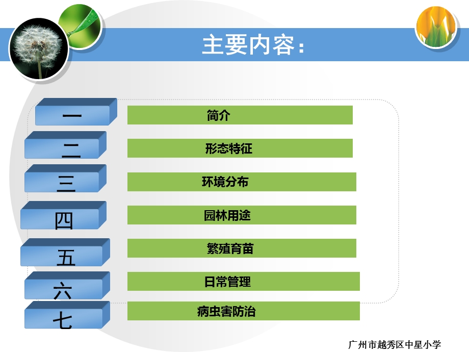 大王椰的科普知识资料课件.ppt_第2页