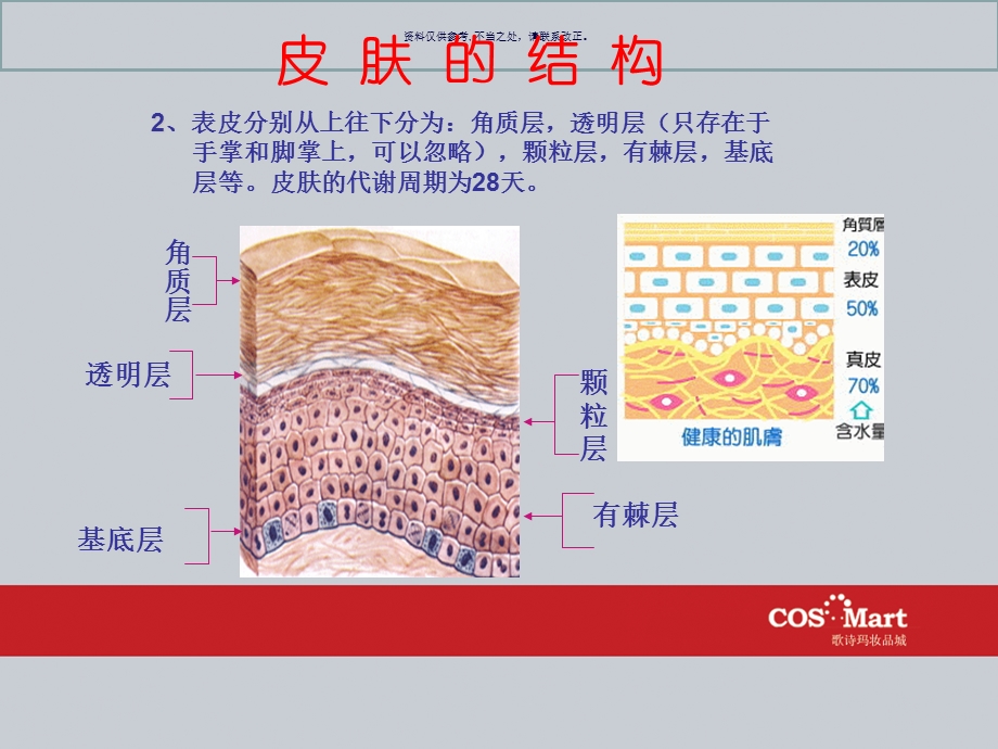 护肤知识培训课件.ppt_第2页