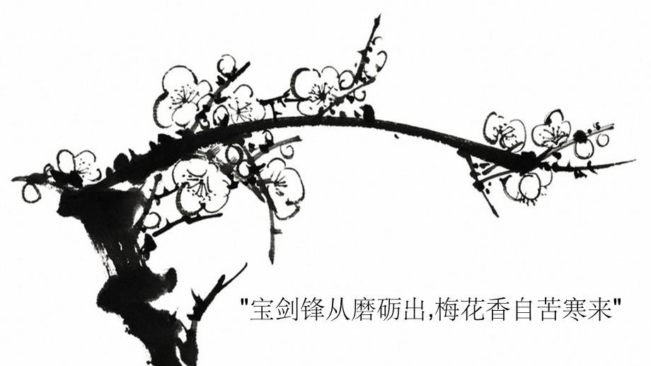 梅花香自苦寒来课件.ppt_第2页