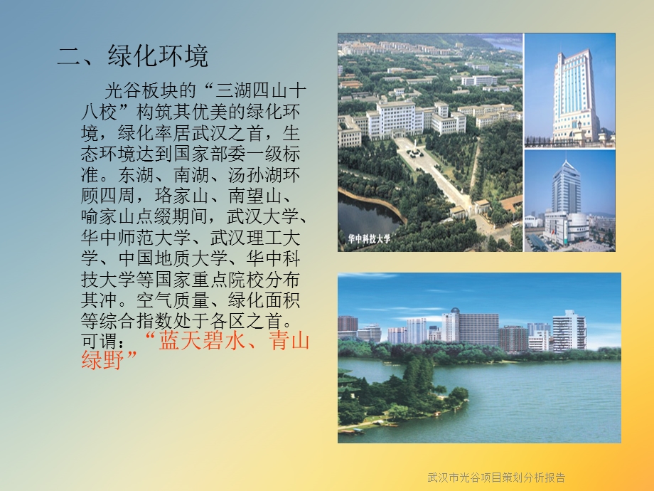 武汉市某项目策划分析报告课件.ppt_第2页