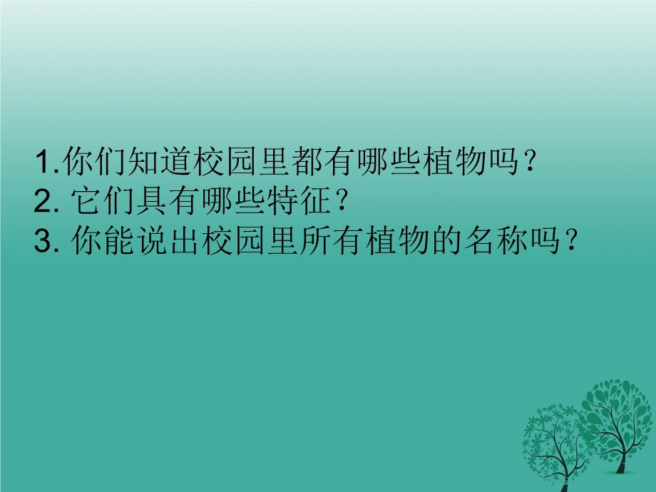 校园植物调查研究课件.ppt_第3页