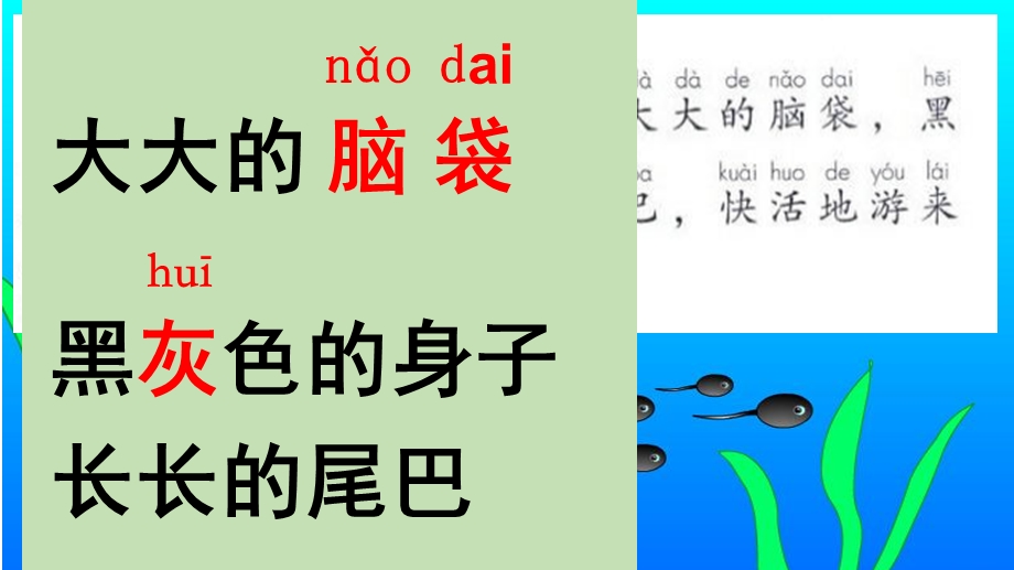 小蝌蚪找妈妈新课件.ppt_第2页