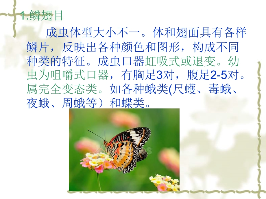 植物病虫害防治技术.ppt_第3页