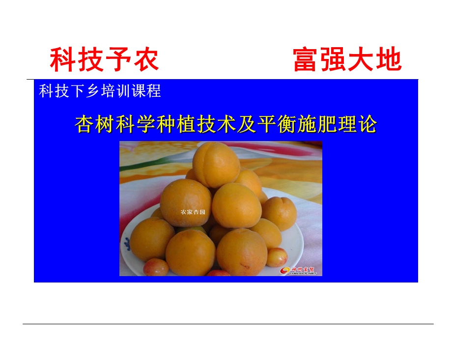 杏树栽培技术.ppt_第3页