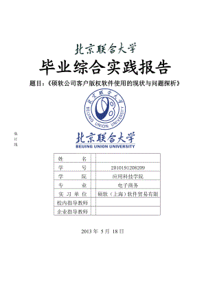 硕软公司客户版权软件使用的现状与问题探析电子商务毕业设计.doc