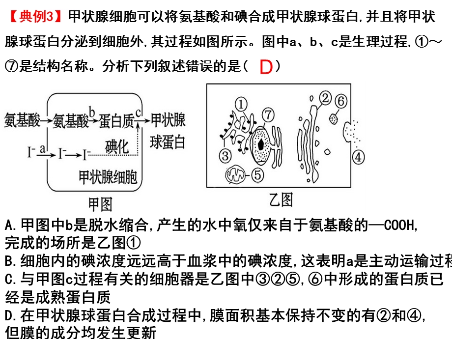 第四章-物质跨膜运输的方式(一轮复习)课件.ppt_第1页