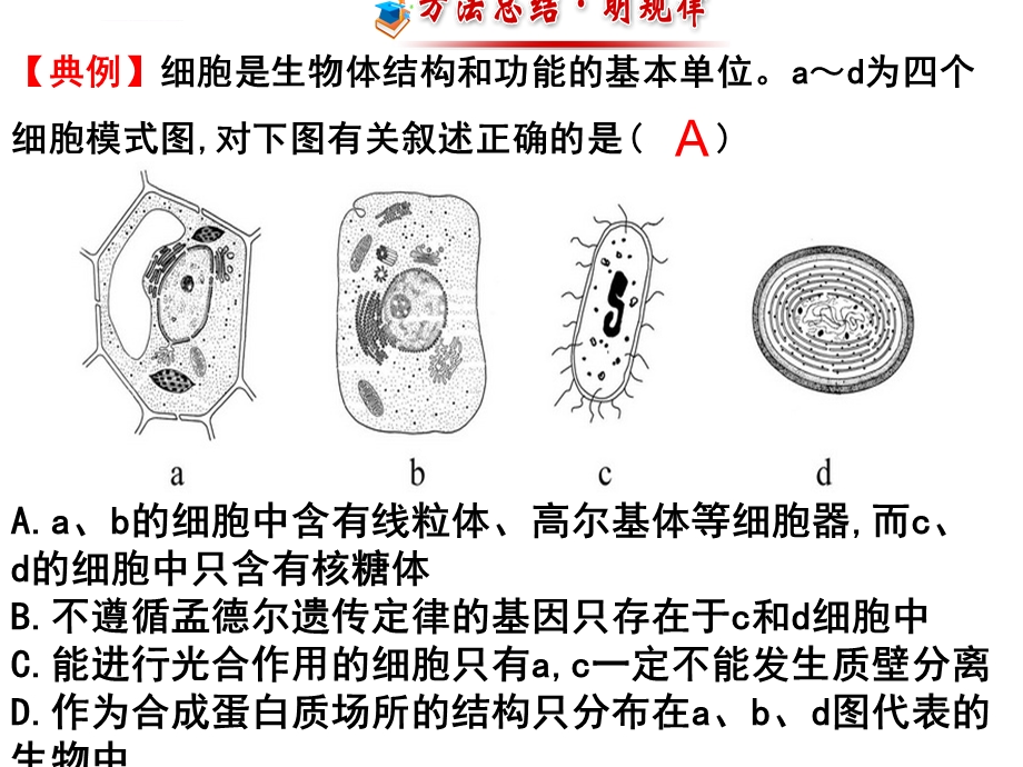 第四章-物质跨膜运输的方式(一轮复习)课件.ppt_第2页