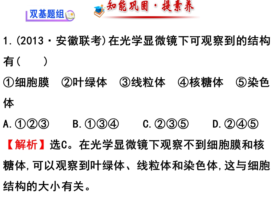 第四章-物质跨膜运输的方式(一轮复习)课件.ppt_第3页