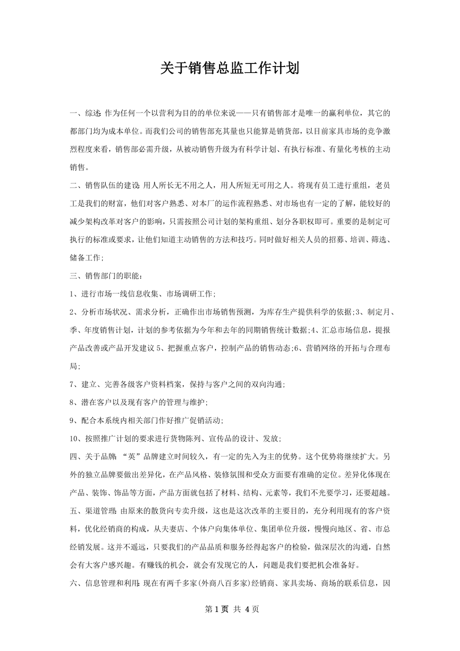 关于销售总监工作计划.docx_第1页