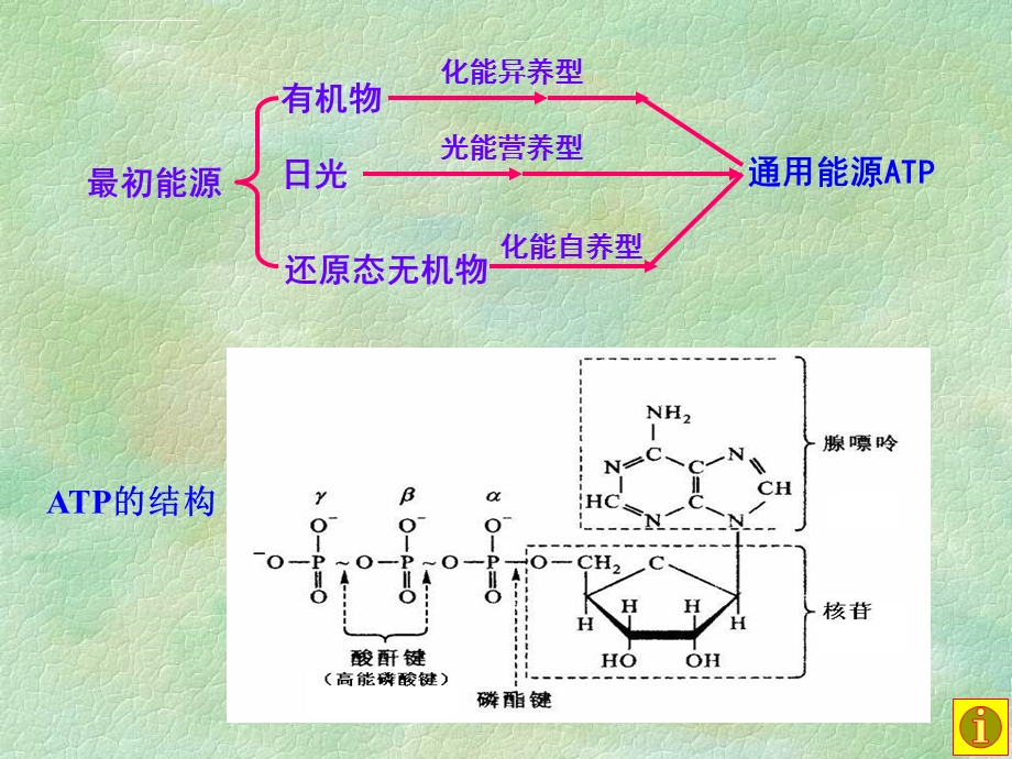 第七章-微生物的代谢ppt课件.ppt_第3页