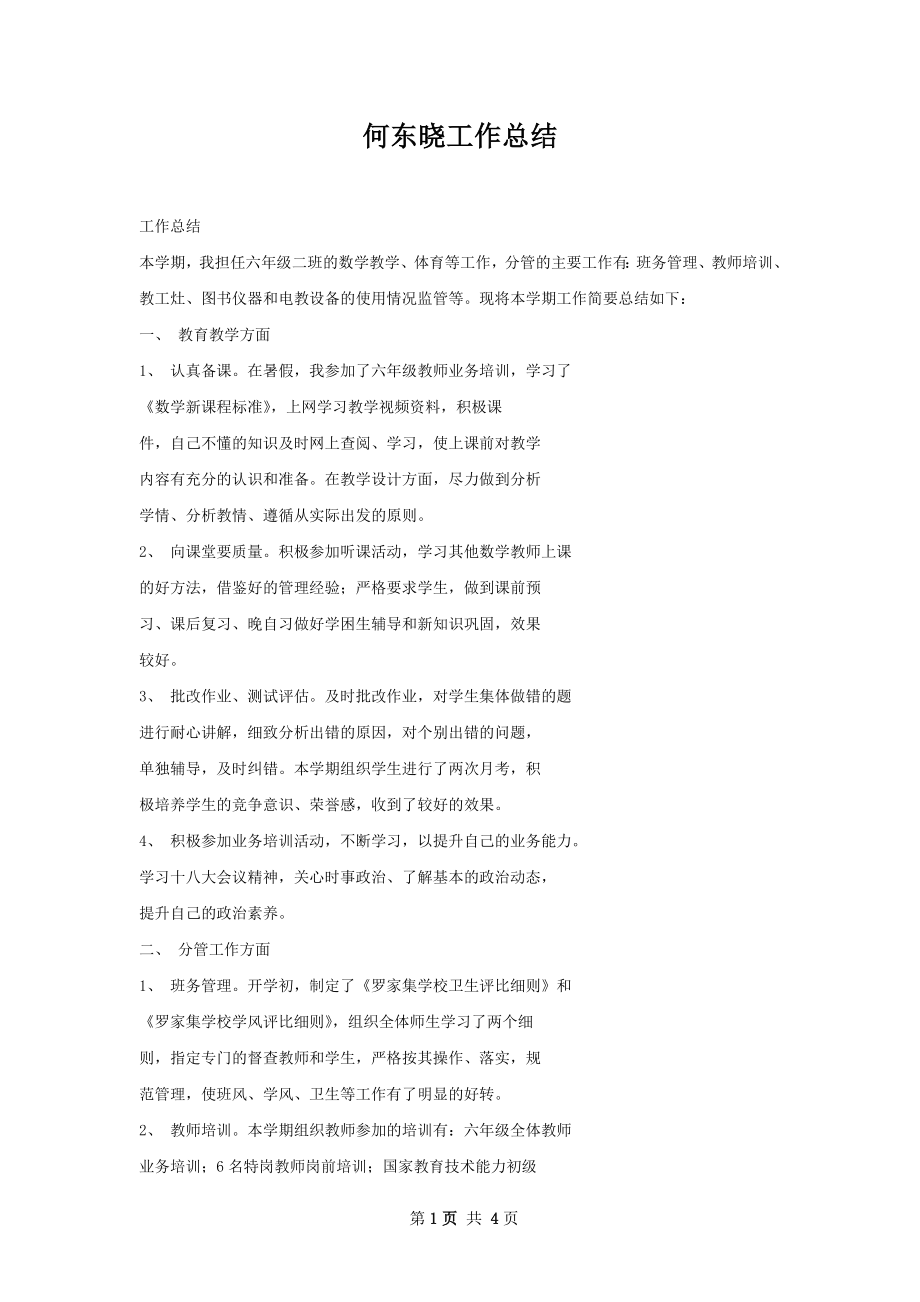 何东晓工作总结.docx_第1页