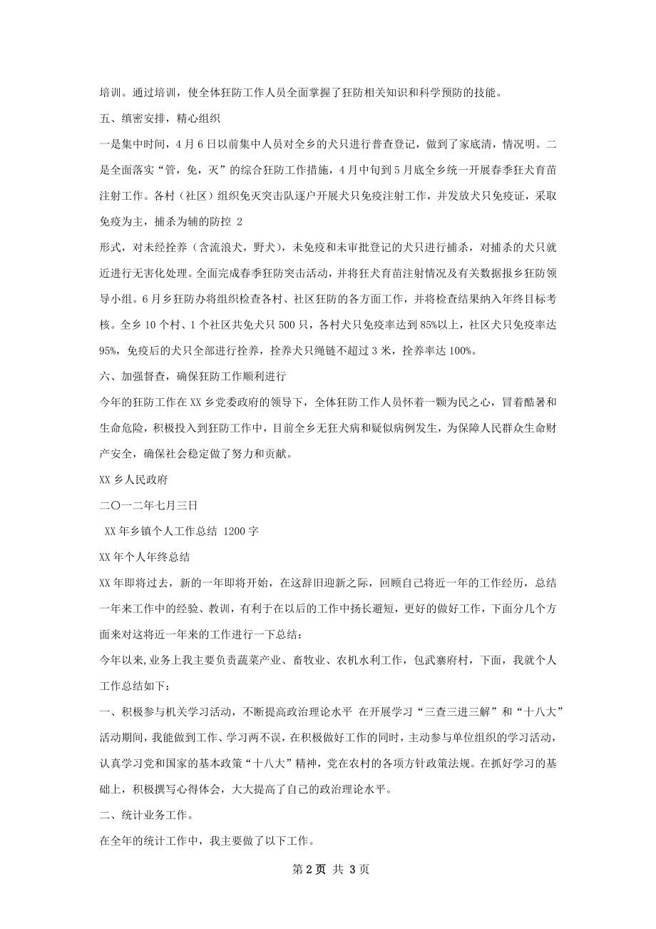 乡镇狂防工作总结.docx_第2页