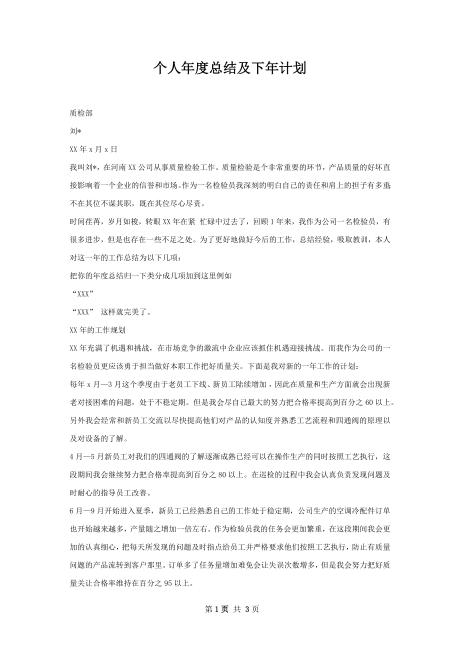 个人年度总结及下年计划.docx_第1页