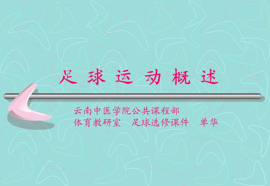 【精品PPT】足球运动概述.ppt_第1页