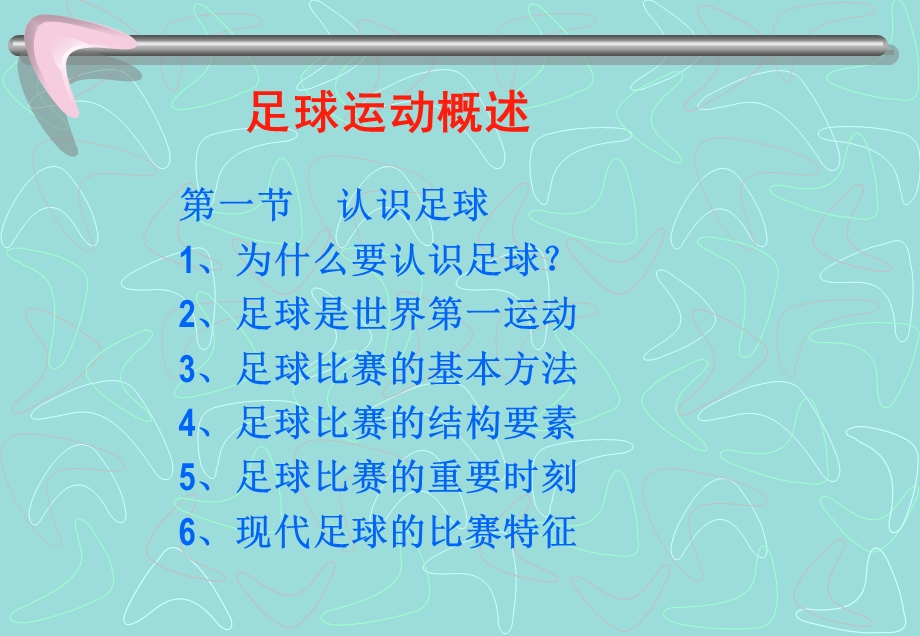 【精品PPT】足球运动概述.ppt_第2页