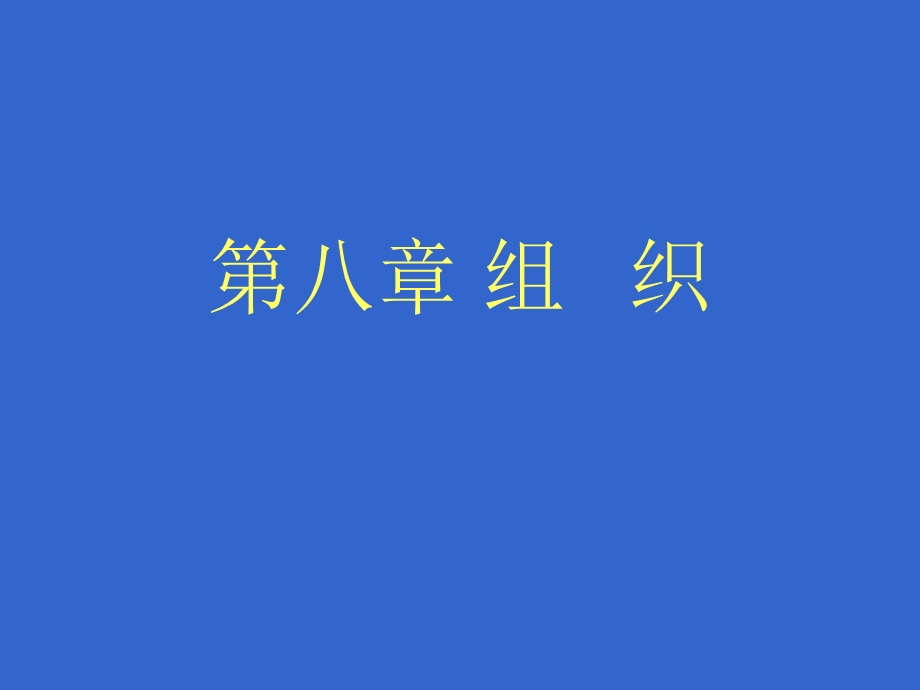 管理学ppt——组织.ppt_第1页