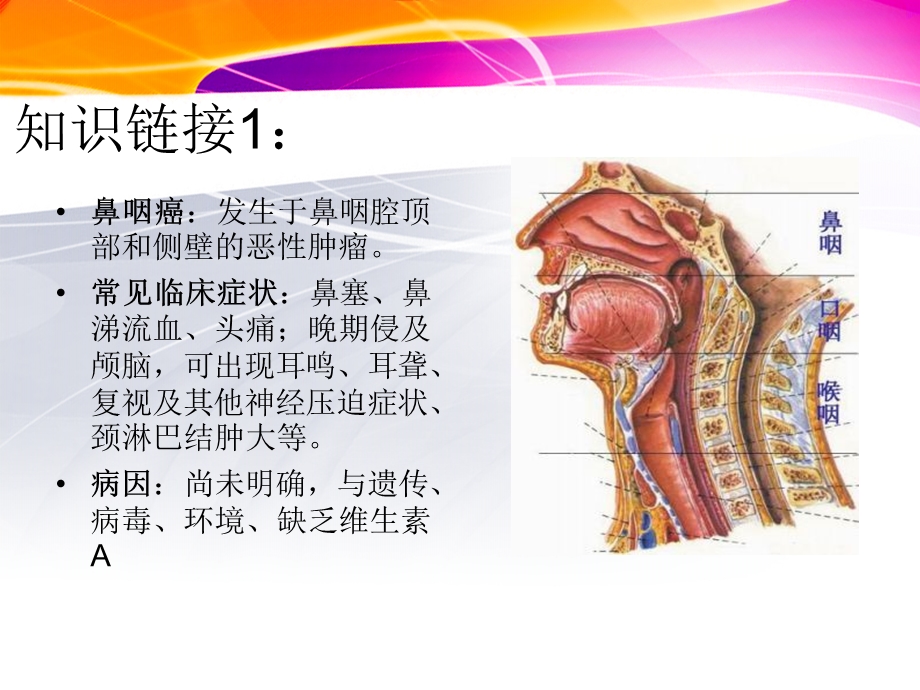 一例鼻咽癌合并放化疗治疗患者的护理.ppt_第2页