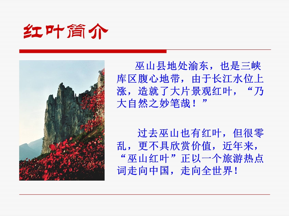 巫山红叶.ppt.ppt_第3页