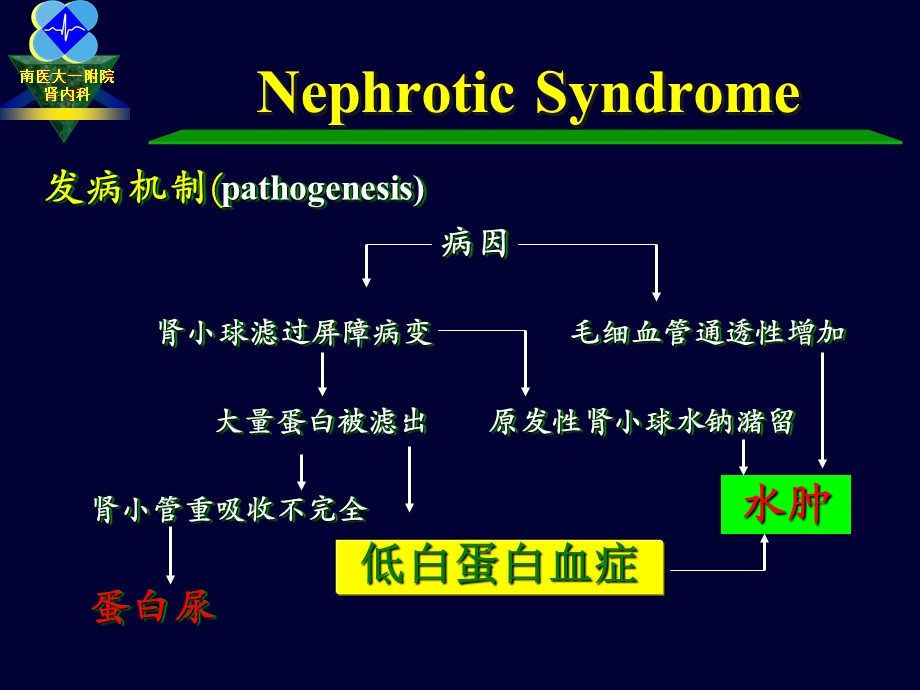 肾病综合征.ppt.ppt_第3页