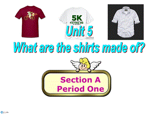 人教版九级英语课件Unit 5 What are the shirts made of？Section A.ppt