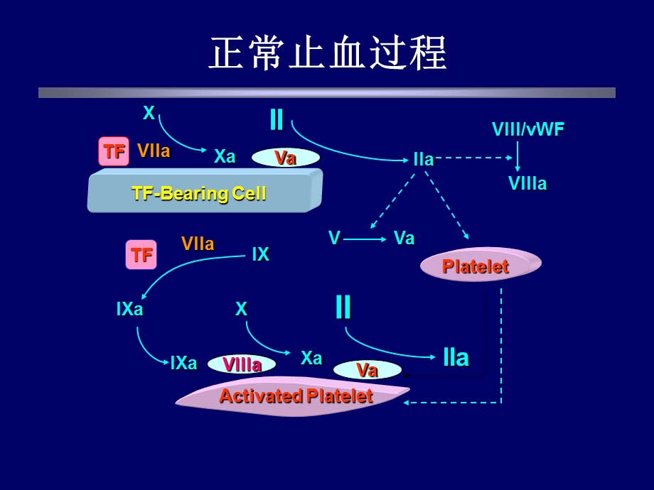 基因重组活化vii因子的临床应用.ppt_第3页