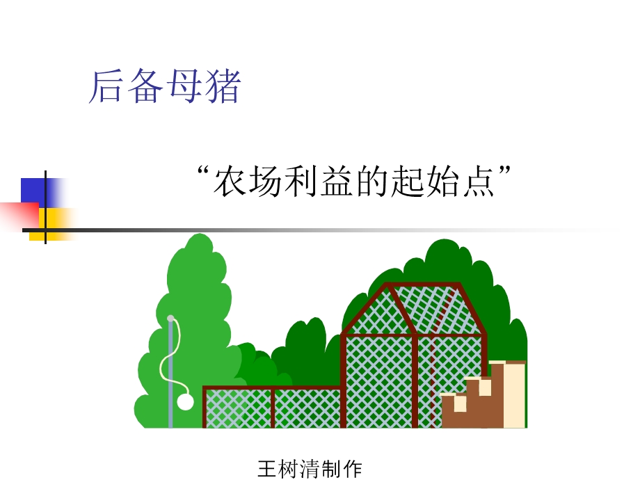 后备母猪育成程序.ppt_第3页